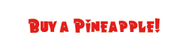 Buy a Pineapple
